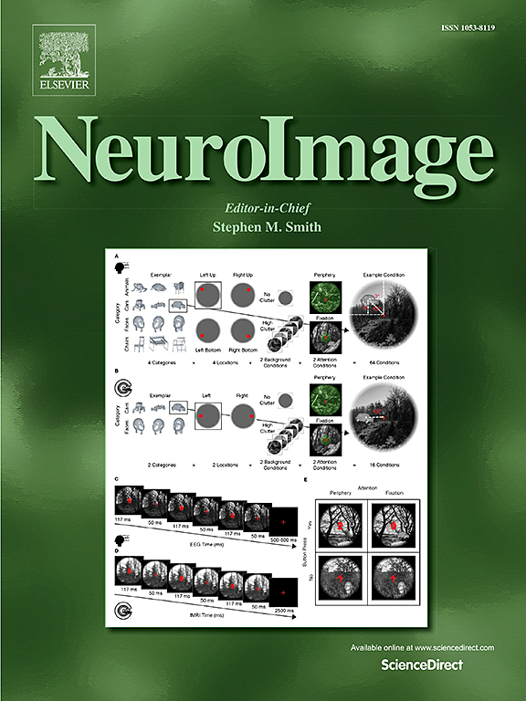 neuroimage.jpg